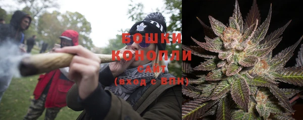 амф Арсеньев