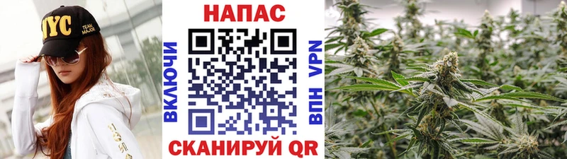 Шишки марихуана MAZAR  дарнет шоп  Чапаевск 